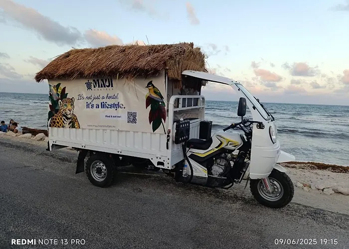 Maui s