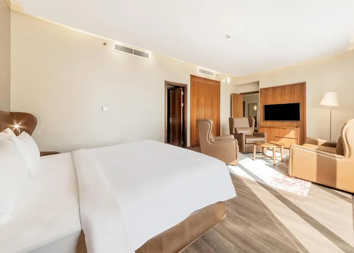 Radisson Blu Hotel, Dubai Canal View