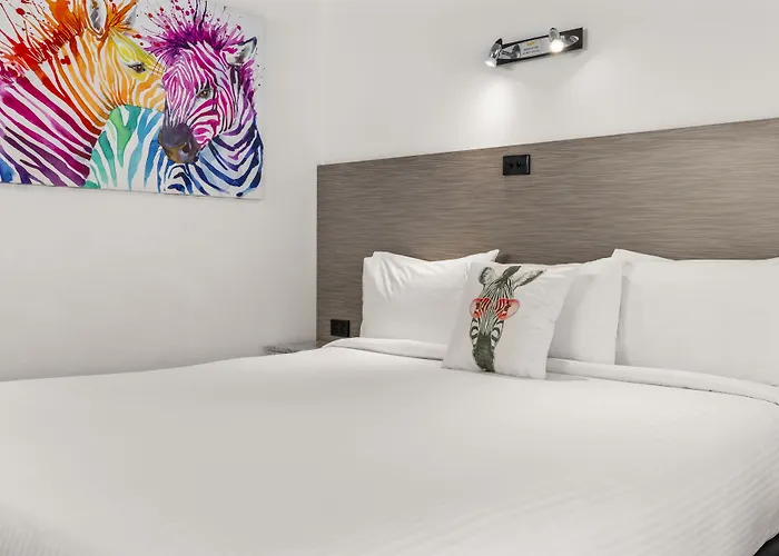 Сity center hotels Zebra