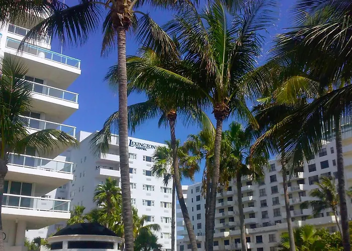 Lexington By Rl Miami Beach