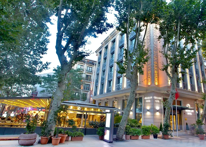 Ahc Ayasofya - Special Class