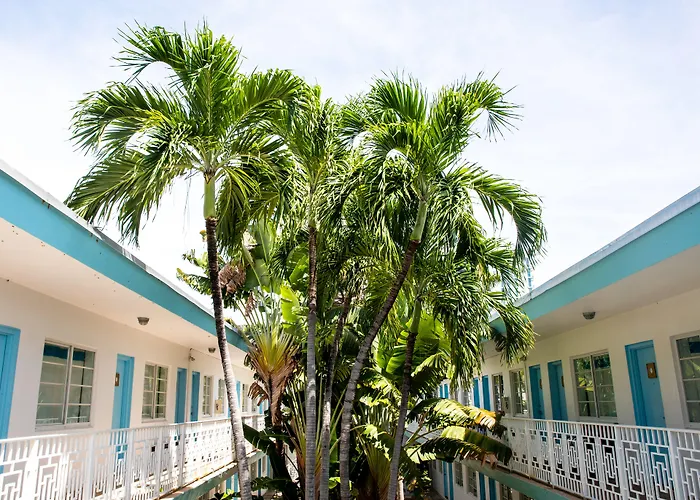 Aqua & Suites