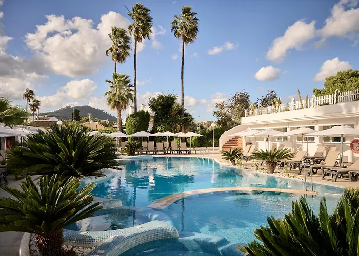 Pet Friendly hotel: Catalonia Del Mar - Adults Only