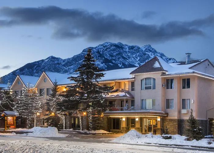 3 star hotel: Red Carpet Inn