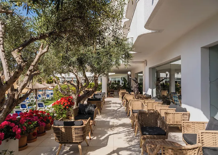 In Luxury hotels Grupotel Maritimo