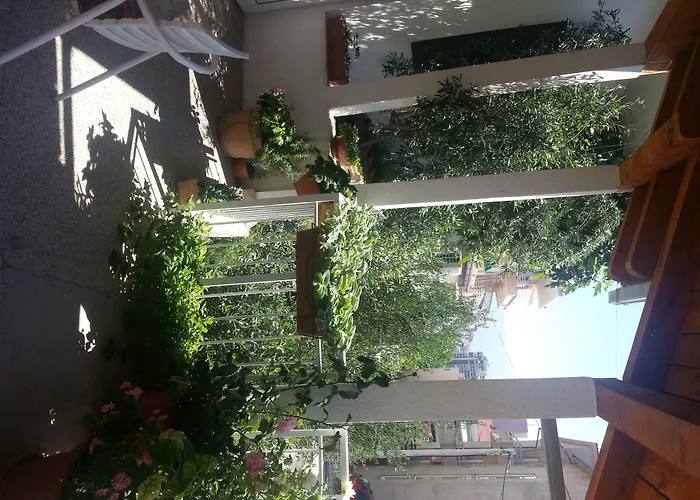 Hotel: Vila Angela