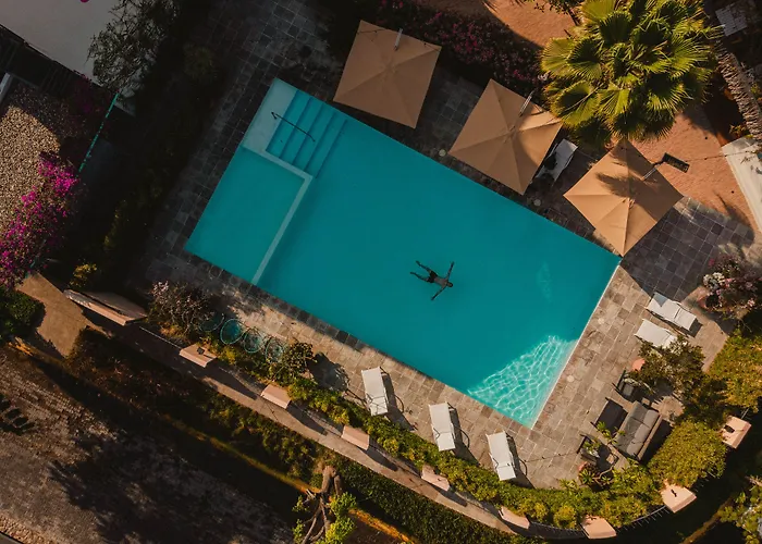 Hotel near College: San Tropico Boutique Hotel & Peaceful Escape