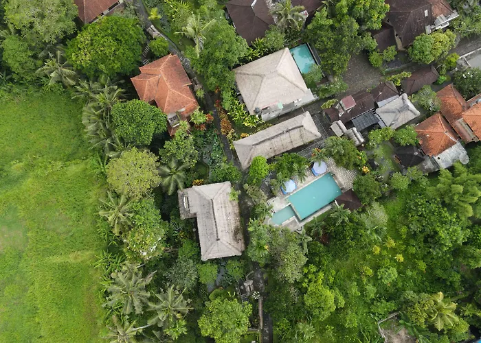  Alam Jiwa Ubud