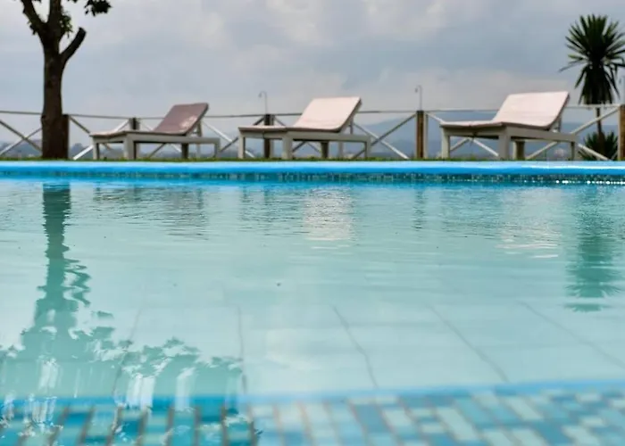 Pet Friendly hotel: Pili Pili Boutique Hotel