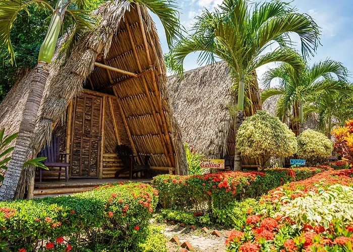 Beach Hotels Tiki Hut