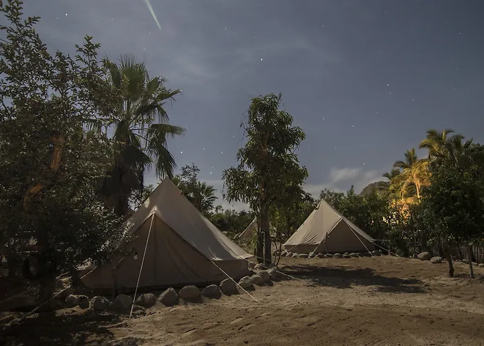 Todos Santos Hostel Super Fast And Stable Satellite Wifi