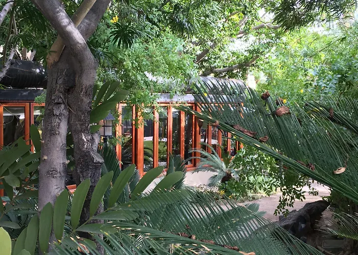 Hotel with Tennis: Getaways At Palm Springs Tennis Club