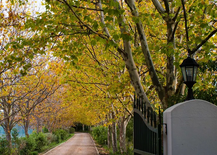 Guest house: Sanddrif Stellenbosch Guest Farm