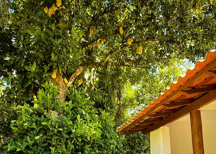 Hotel: VELINN Pousada Bromelias