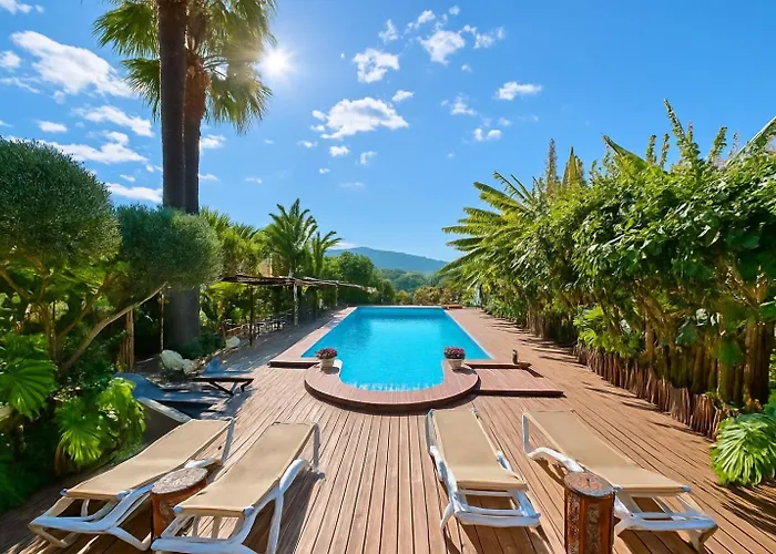 Hotel romántico: Hotel Altea Paradise 1917 - Adults Only