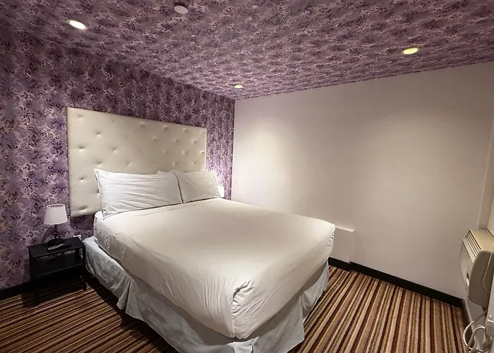 Familiehotel: Night Hotel Broadway