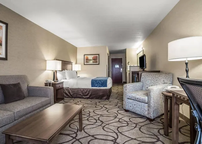 Hotel: Comfort Suites Salt Lake City Airport