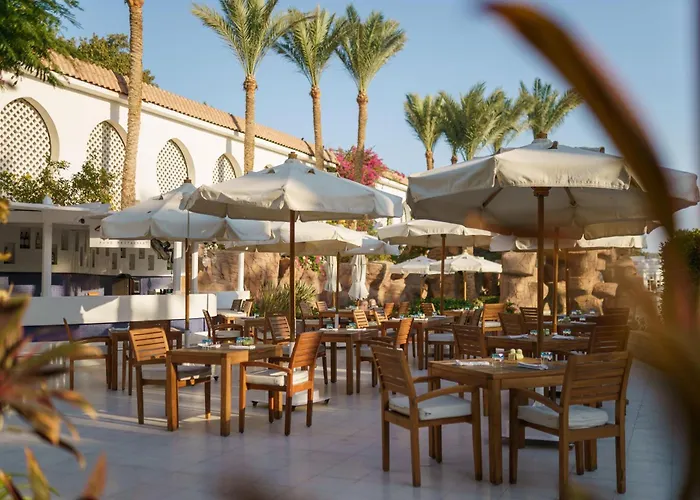 Luchthavenhotel: Baron Palms Adults Friendly Only 16 Years Plus Boutique Hotel Style