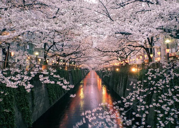 Hotel para famílias: The Westin Tokyo