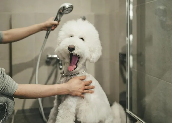 Romantic hotel: Hyatt Regency Hakone Resort And Spa