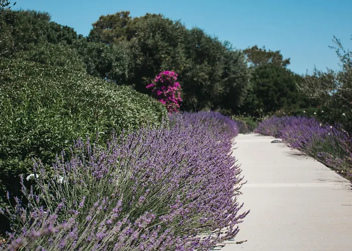 Malbuger Nou Menorca -Adults Only-