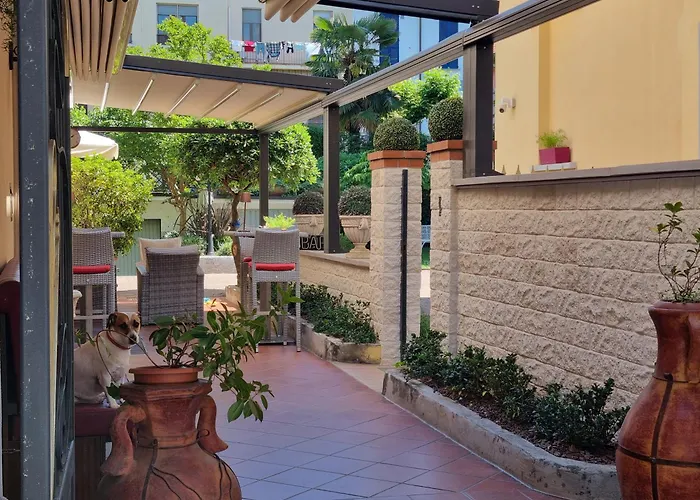 Pets Allowed Hotel Charly