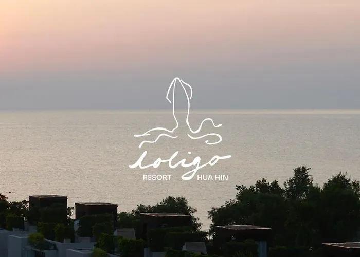 Loligo Hua Hin