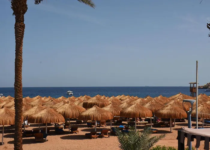 Ghazala Beach