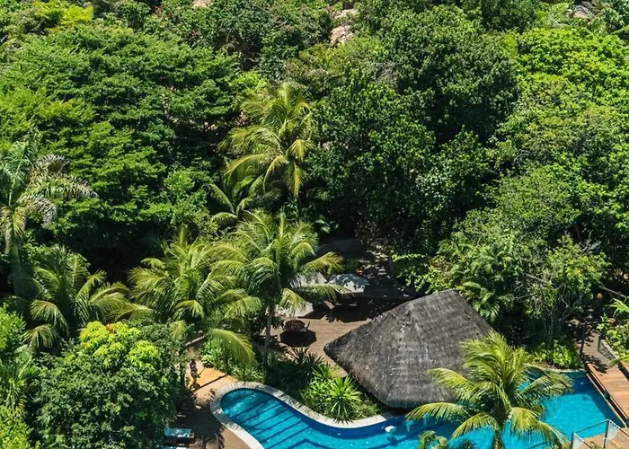 Sombra e Água Fresca Floresta