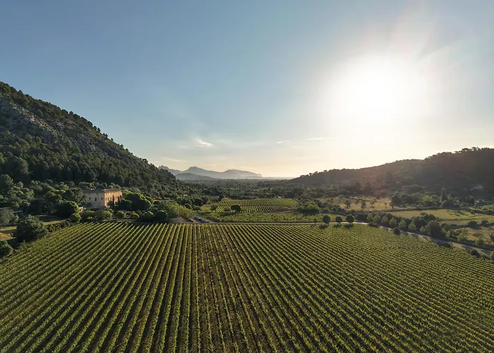Son Brull & Spa - Relais & Chateaux