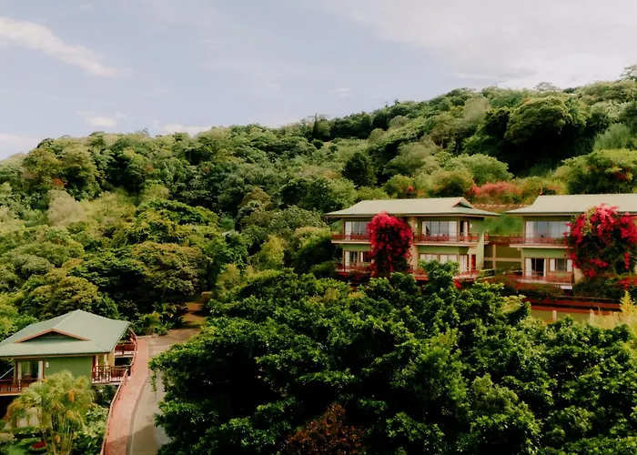Ficus Sunset Suites