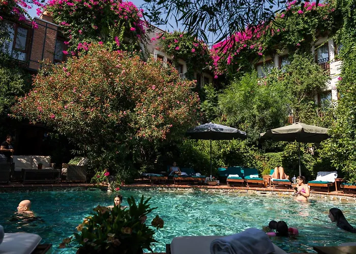 Hotels With Four Stars El Vino & Suites