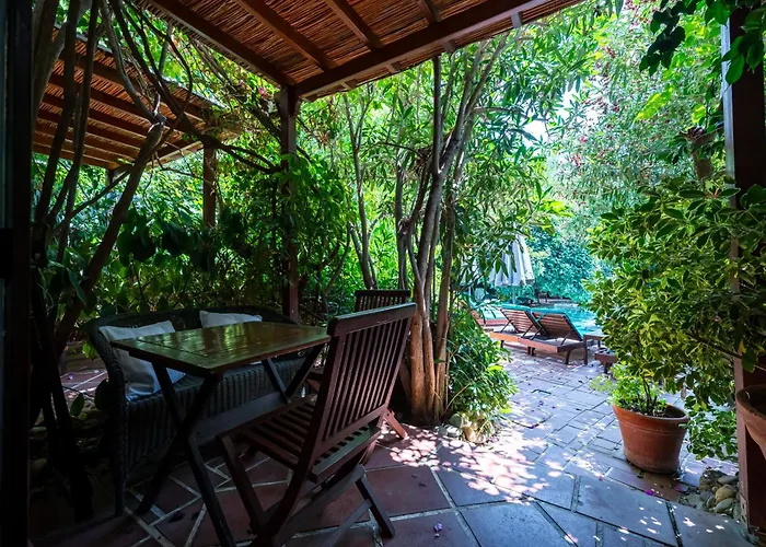 Hotels With Four Stars El Vino & Suites