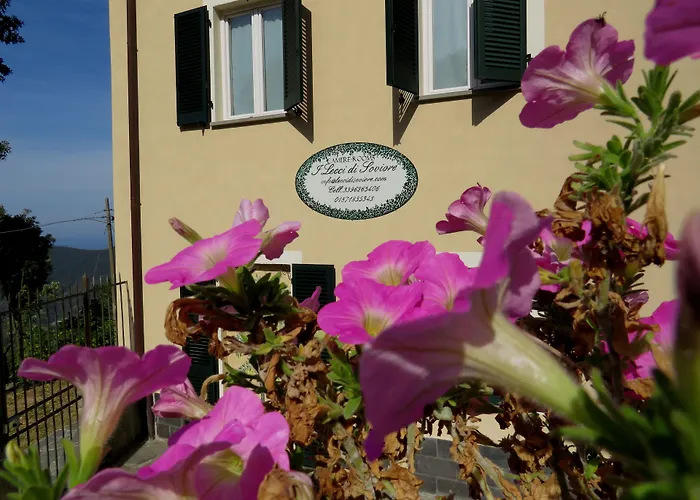 I Lecci Di Soviore