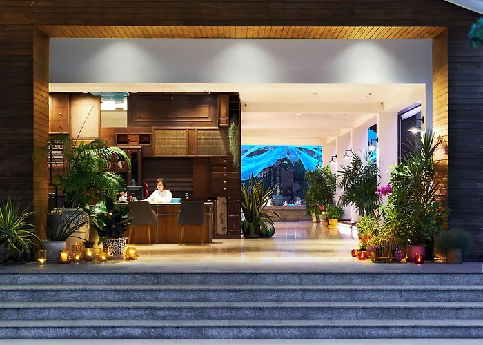 Loligo Hua Hin