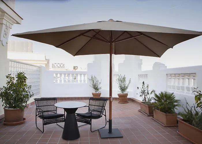 Perros hoteles Petit Palace Triball