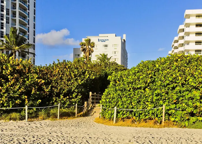  Lexington By Rl Miami Beach