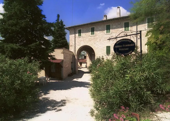 Antico Frantoio
