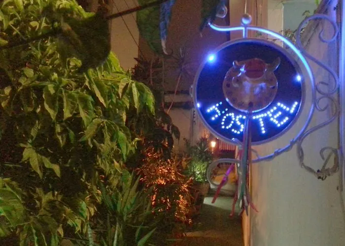 Girassol Vila Madalena