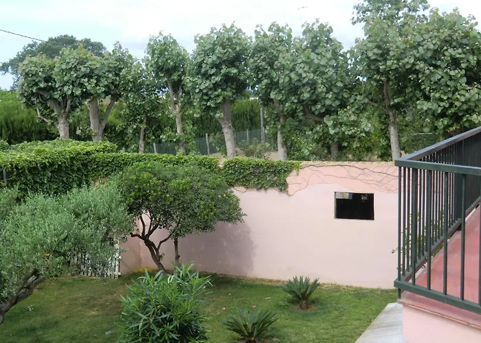 Perros hoteles Hípica Mas Paguina