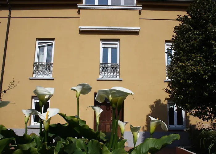 Hotel cerca del colegio: Casa Samuel