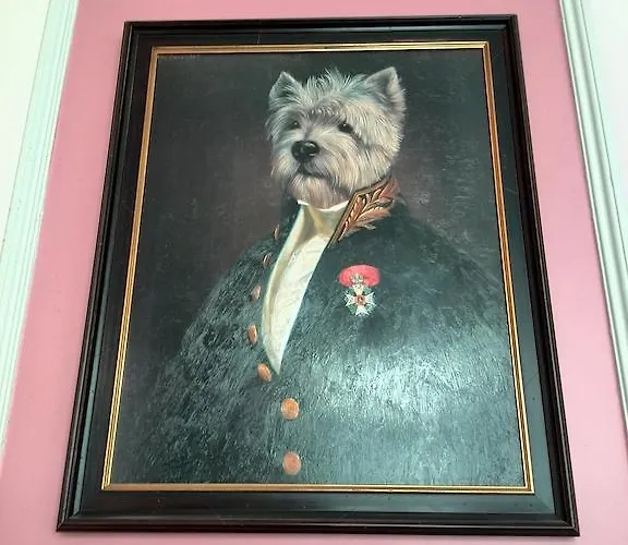 Hotel do aeroporto: Hotel Sabina