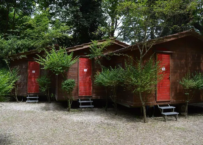 Animaux admis Seven Hills Village