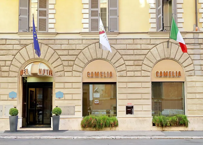 Hotel: Hotel Camelia