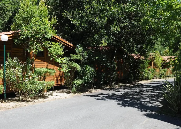 Animaux admis Seven Hills Village